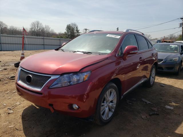 Photo 1 VIN: JTJBC1BA9B2043302 - LEXUS RX 450 