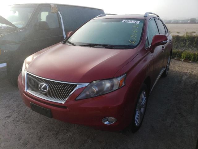 Photo 1 VIN: JTJBC1BA9B2418329 - LEXUS RX 450 