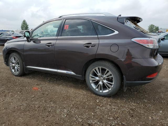 Photo 1 VIN: JTJBC1BA9D2051130 - LEXUS RX 450H 