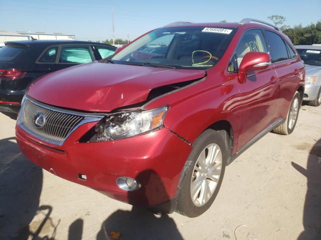 Photo 1 VIN: JTJBC1BAXA2006063 - LEXUS RX 450 