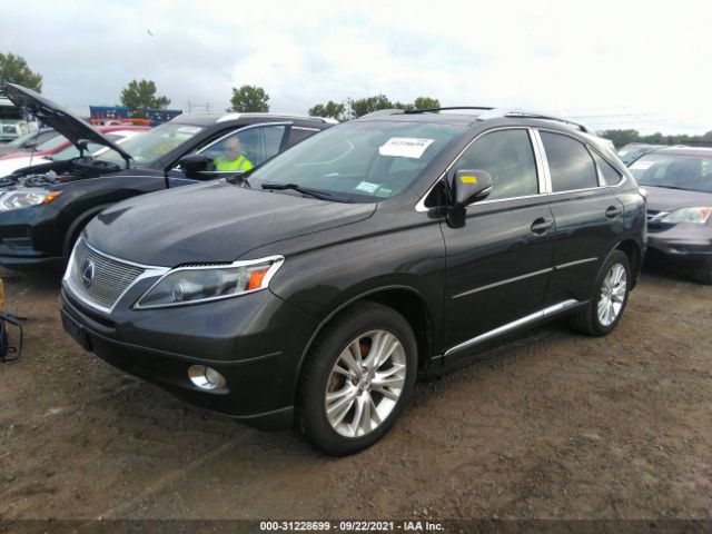 Photo 1 VIN: JTJBC1BAXA2011909 - LEXUS RX 450H 