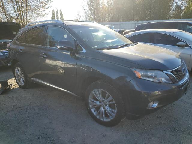 Photo 3 VIN: JTJBC1BAXA2021114 - LEXUS RX450 