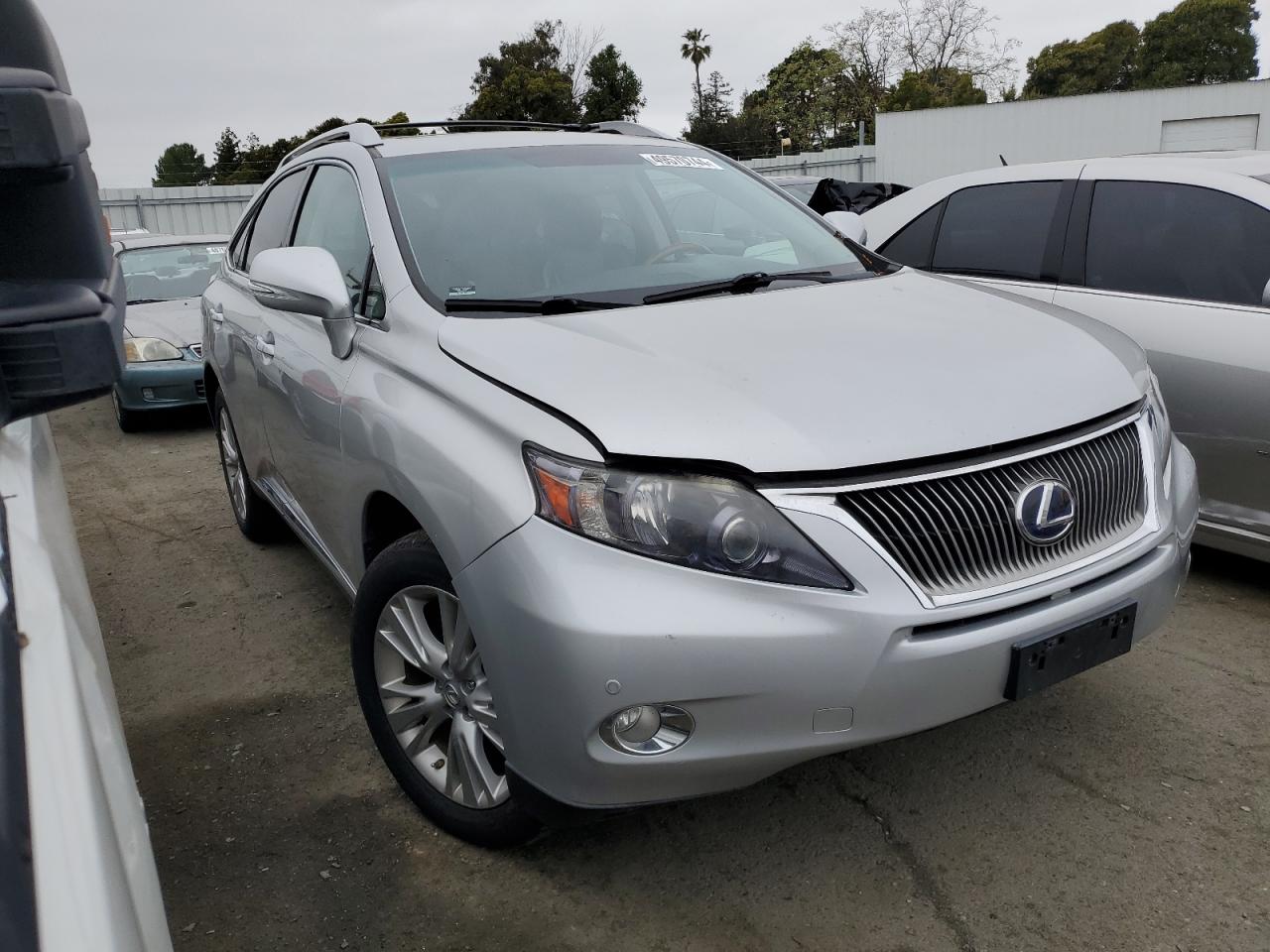 Photo 3 VIN: JTJBC1BAXB2042336 - LEXUS RX 