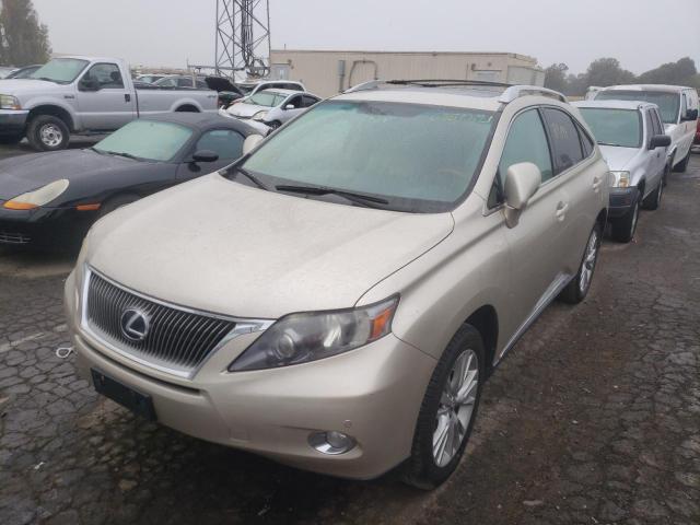 Photo 1 VIN: JTJBC1BAXB2418386 - LEXUS RX 450 