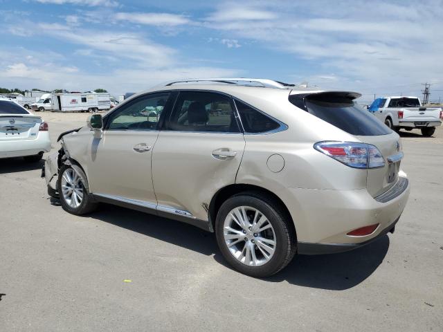 Photo 1 VIN: JTJBC1BAXB2421322 - LEXUS RX450 