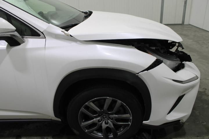 Photo 6 VIN: JTJBJRBZ202159853 - LEXUS NX-SERIES SUV 