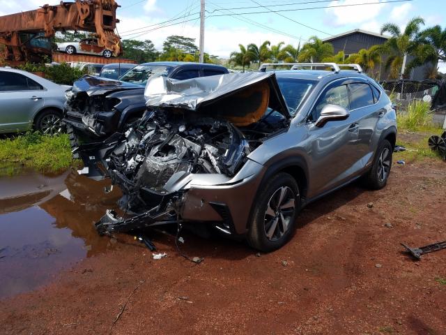 Photo 1 VIN: JTJBJRBZ5J2078542 - LEXUS NX 300H 