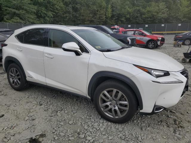 Photo 3 VIN: JTJBJRBZ9G2045312 - LEXUS NX 