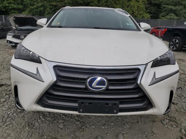 Photo 4 VIN: JTJBJRBZ9G2045312 - LEXUS NX 