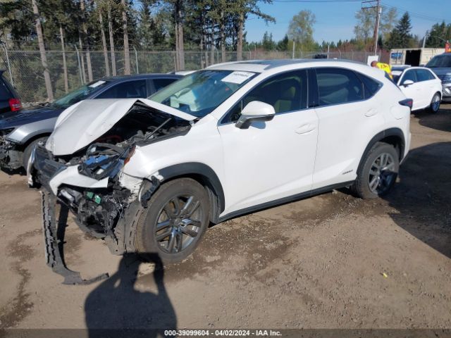 Photo 1 VIN: JTJBJRBZXG2033041 - LEXUS NX 300H 