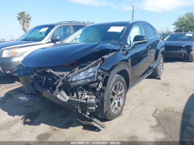 Photo 1 VIN: JTJBJRBZXG2037753 - LEXUS NX 300H 