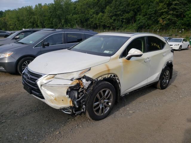 Photo 1 VIN: JTJBJRBZXG2044248 - LEXUS NX 300H 