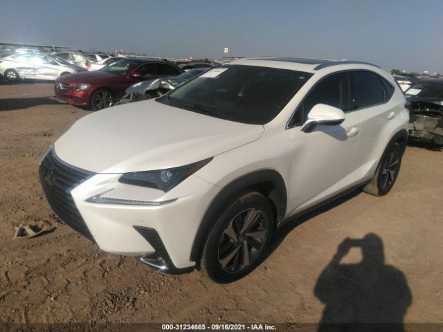 Photo 1 VIN: JTJBJRBZXJ2079024 - LEXUS NX 