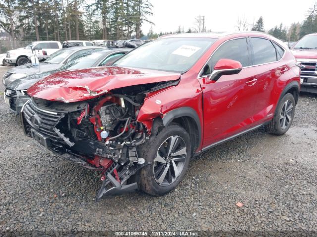 Photo 1 VIN: JTJBJRBZXJ2093828 - LEXUS NX 