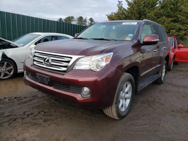 Photo 1 VIN: JTJBM7FX0D5050834 - LEXUS GX 460 