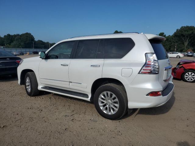 Photo 1 VIN: JTJBM7FX0E5073306 - LEXUS GX 460 