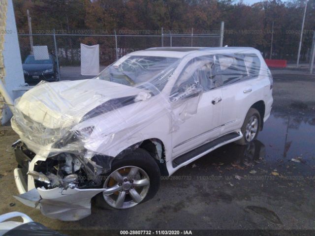 Photo 1 VIN: JTJBM7FX0J5183587 - LEXUS 460 