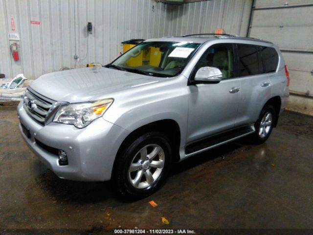 Photo 1 VIN: JTJBM7FX1B5032548 - LEXUS GX 460 