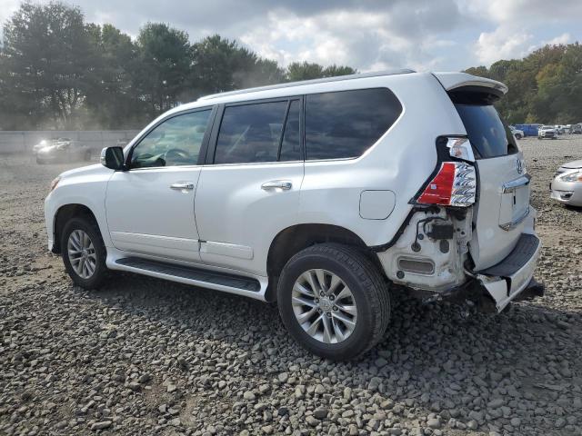 Photo 1 VIN: JTJBM7FX1E5081155 - LEXUS GX 460 