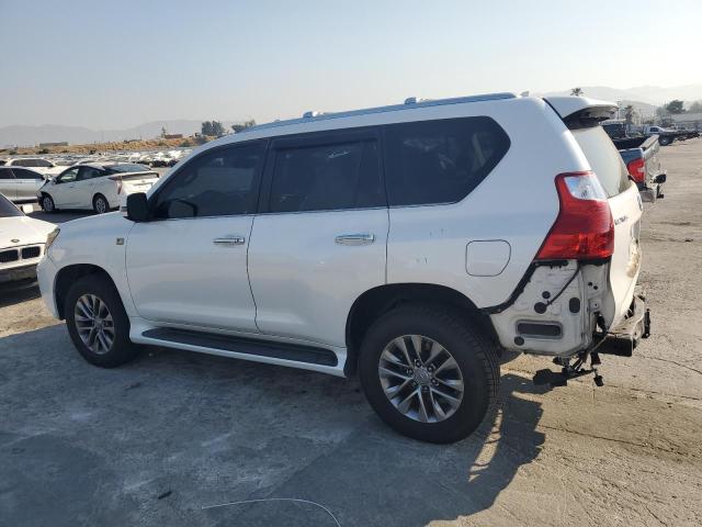 Photo 1 VIN: JTJBM7FX2A5008791 - LEXUS GX 