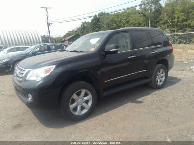 Photo 1 VIN: JTJBM7FX2D5060569 - LEXUS GX 460 