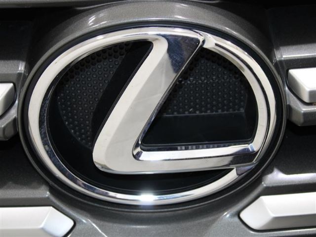 Photo 7 VIN: JTJBM7FX2H5150438 - LEXUS GX 