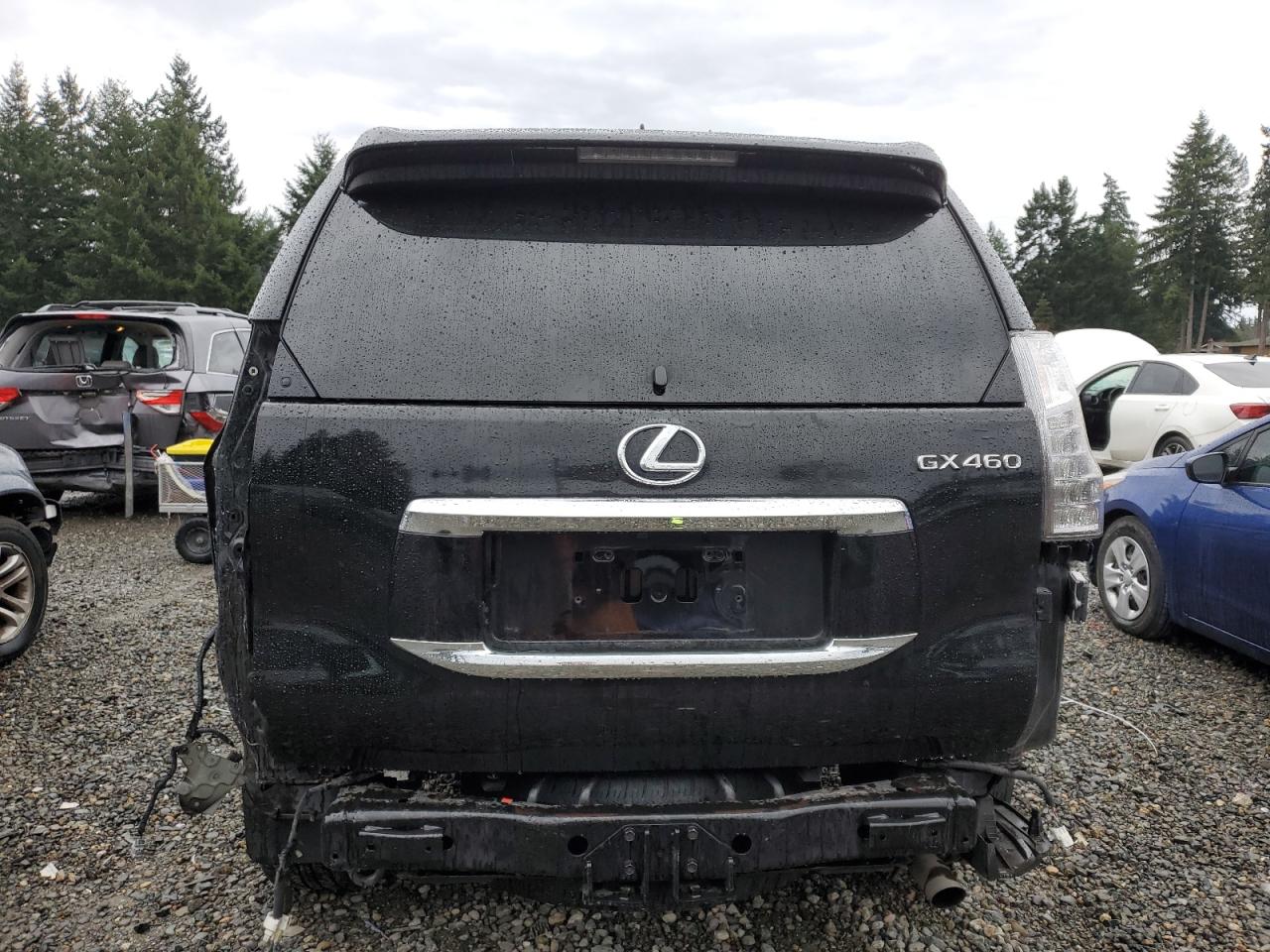 Photo 5 VIN: JTJBM7FX2J5198804 - LEXUS GX 