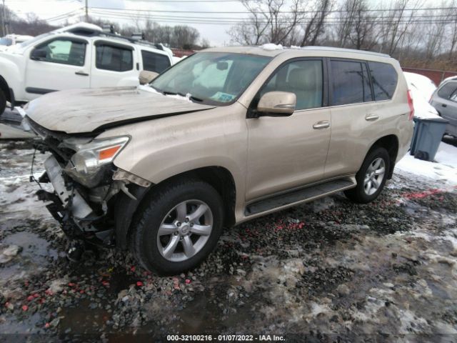 Photo 1 VIN: JTJBM7FX5A5017372 - LEXUS GX 460 