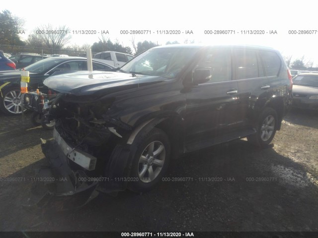 Photo 1 VIN: JTJBM7FX5B5019141 - LEXUS GX 460 