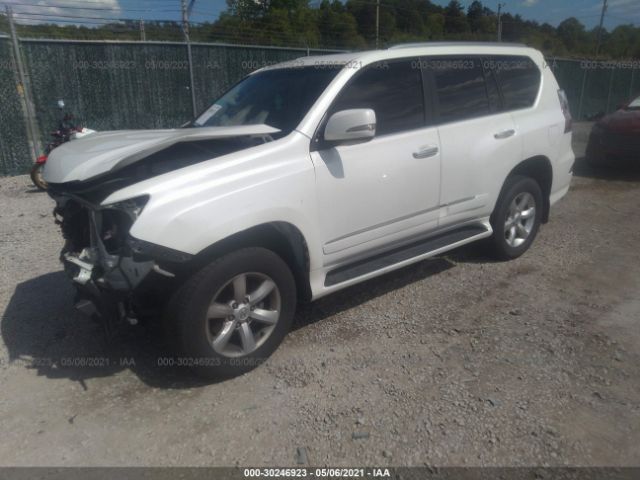 Photo 1 VIN: JTJBM7FX5E5076136 - LEXUS GX 460 