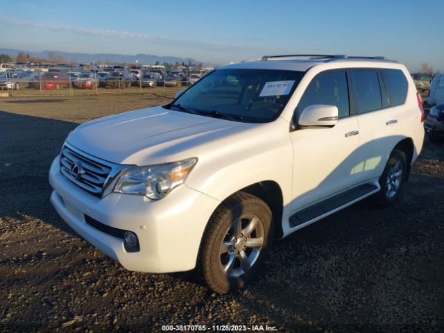 Photo 1 VIN: JTJBM7FX6A5012522 - LEXUS GX 460 