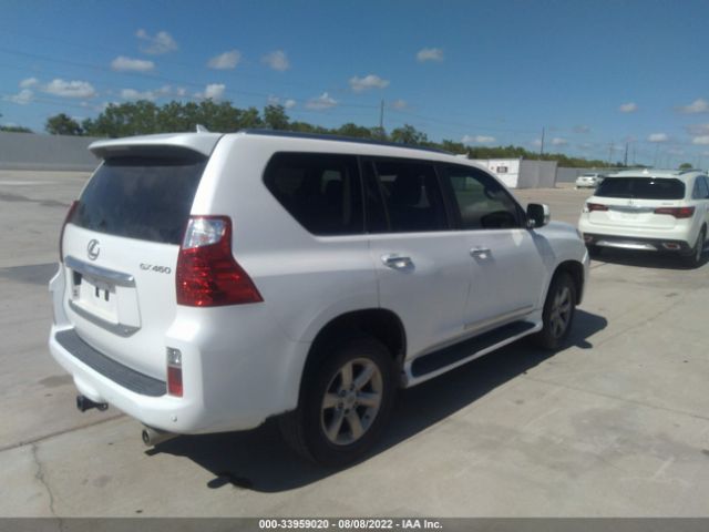 Photo 3 VIN: JTJBM7FX6B5034280 - LEXUS GX 460 