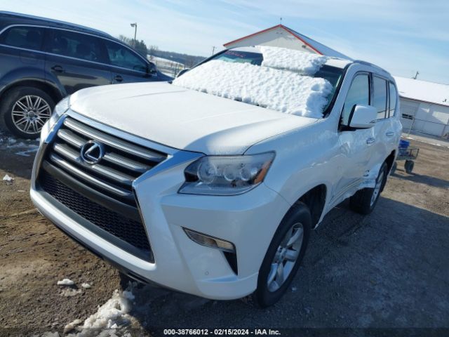 Photo 1 VIN: JTJBM7FX7J5192688 - LEXUS 460 