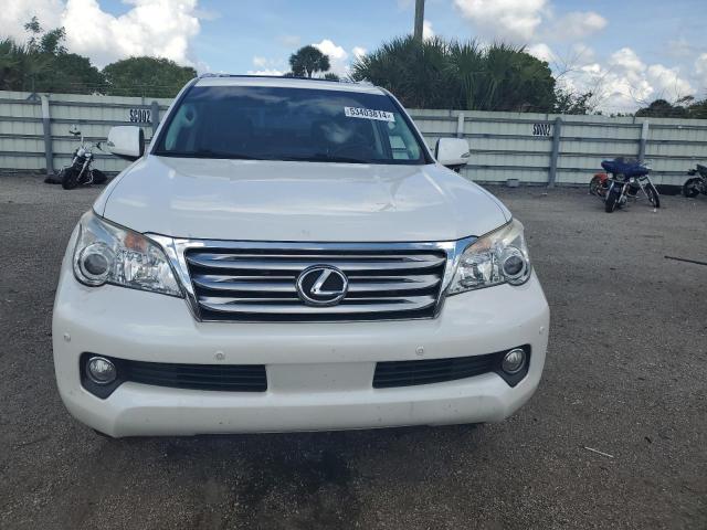 Photo 4 VIN: JTJBM7FX8D5058891 - LEXUS GX 