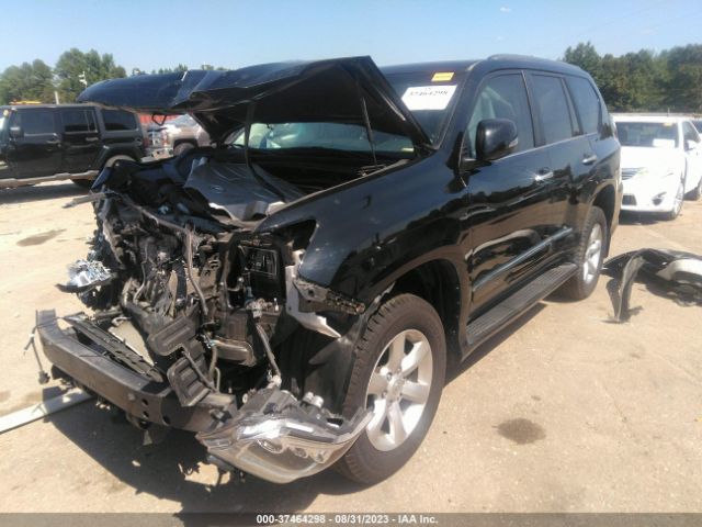 Photo 1 VIN: JTJBM7FX8J5182820 - LEXUS 460 