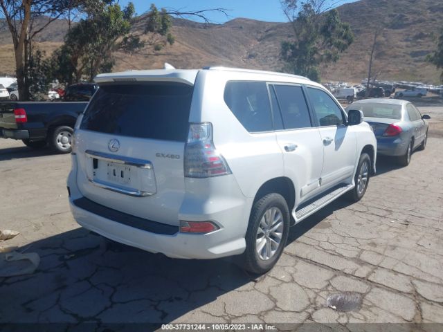 Photo 3 VIN: JTJBM7FX8J5189234 - LEXUS 460 