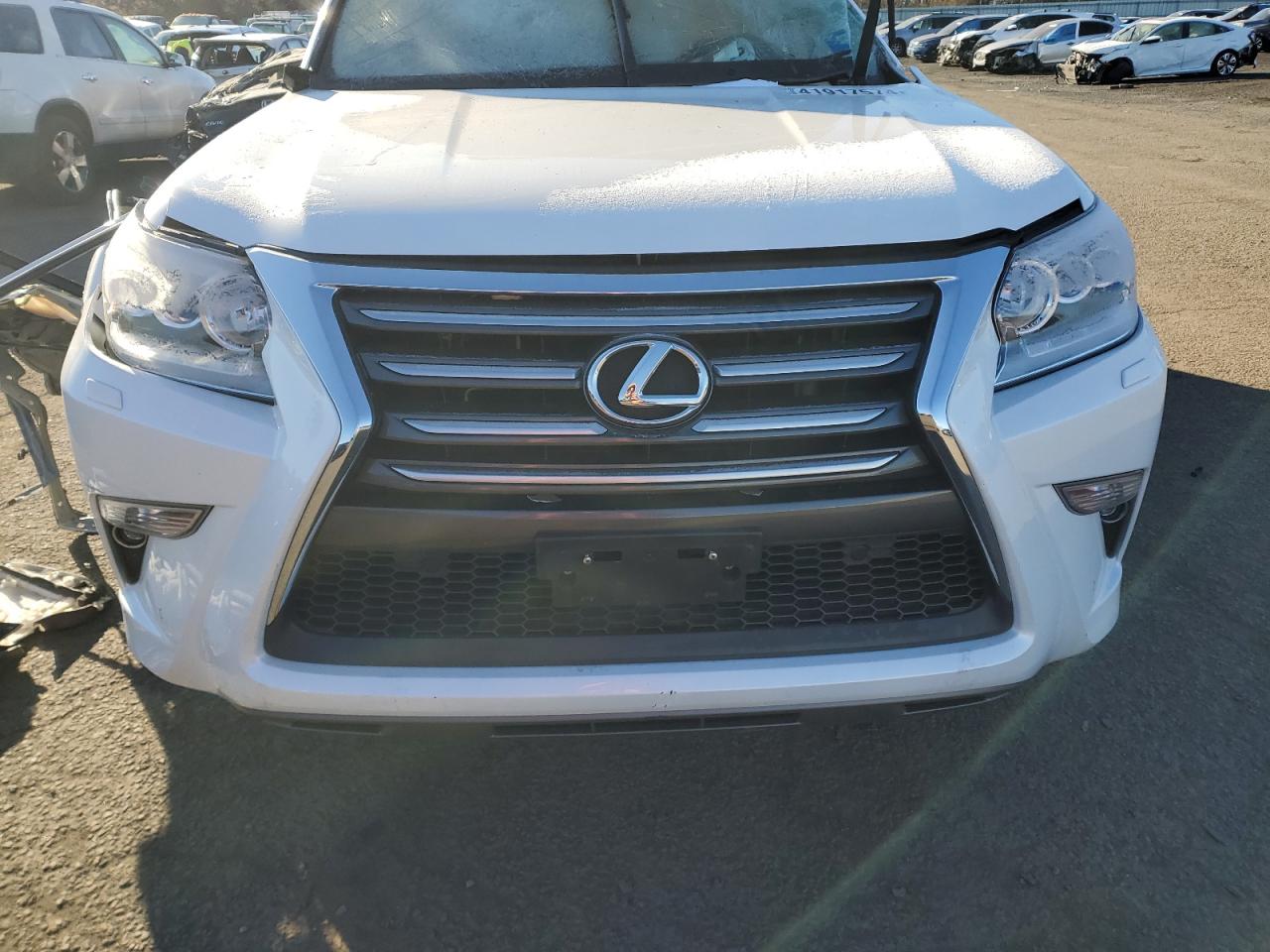 Photo 11 VIN: JTJBM7FX8J5208851 - LEXUS GX 