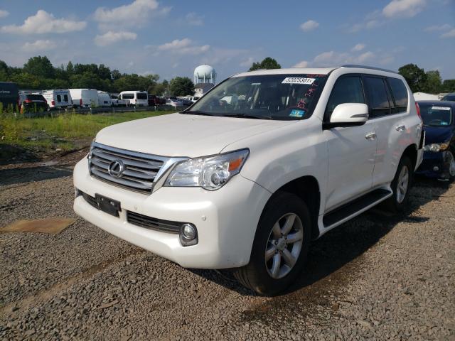 Photo 1 VIN: JTJBM7FX9B5024617 - LEXUS GX 460 