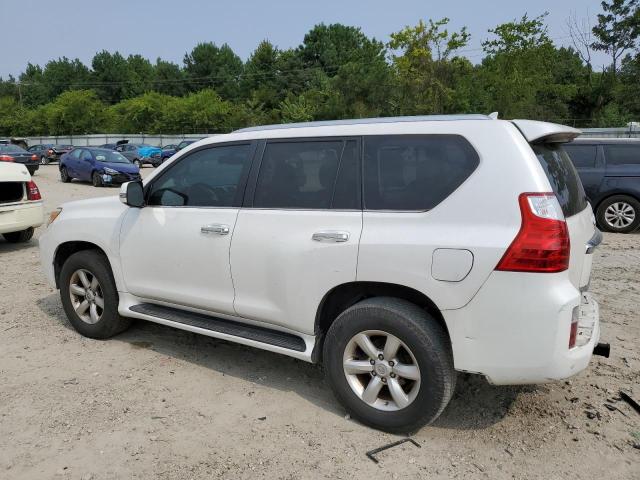 Photo 1 VIN: JTJBM7FX9B5030174 - LEXUS GX 