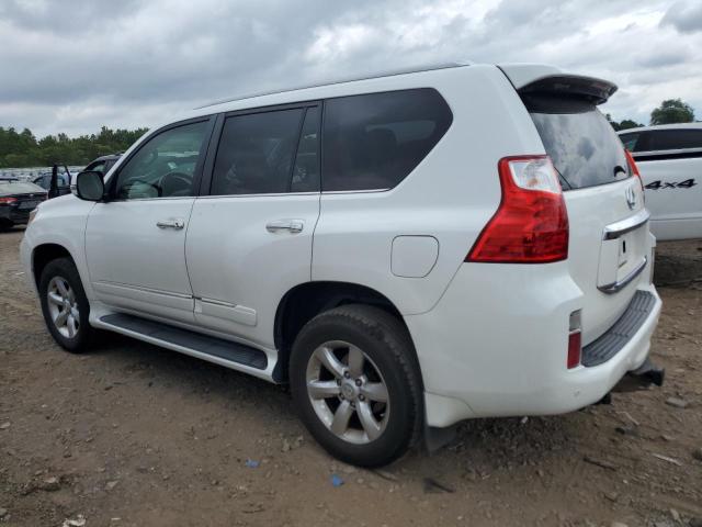 Photo 1 VIN: JTJBM7FX9C5049003 - LEXUS GX 460 