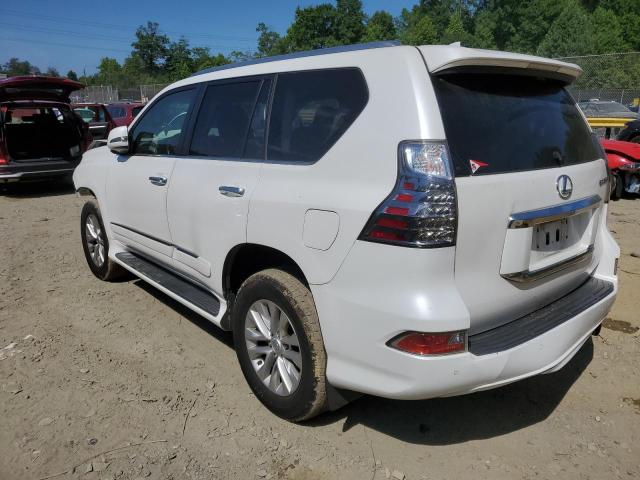 Photo 1 VIN: JTJBM7FX9G5124028 - LEXUS GX 