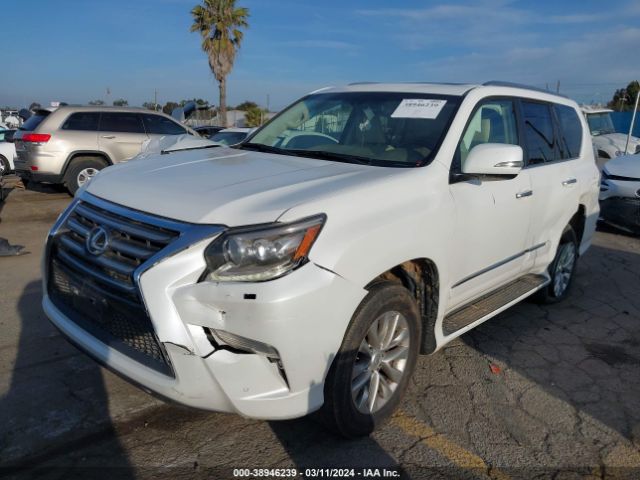 Photo 1 VIN: JTJBM7FX9K5239785 - LEXUS 460 