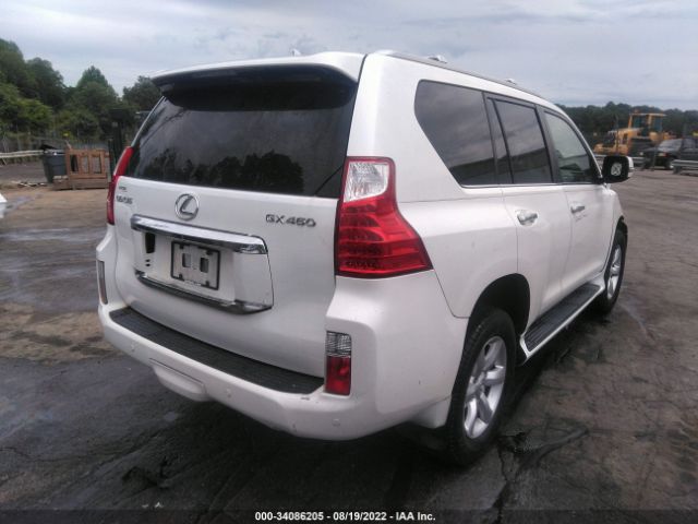 Photo 3 VIN: JTJBM7FXXA5001989 - LEXUS GX 460 