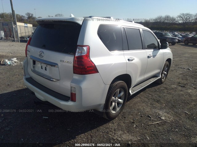 Photo 3 VIN: JTJBM7FXXA5010966 - LEXUS GX 460 