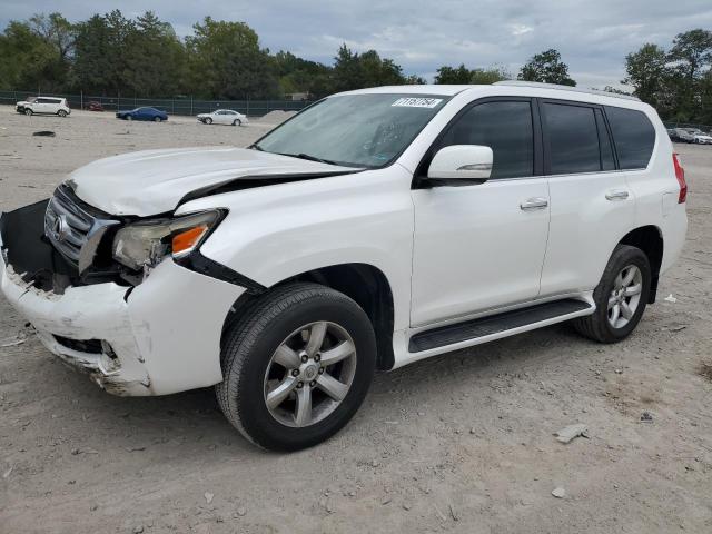 Photo 0 VIN: JTJBM7FXXB5030409 - LEXUS GX 460 