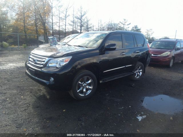 Photo 1 VIN: JTJBM7FXXD5062232 - LEXUS GX 460 