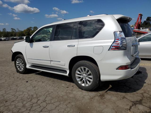 Photo 1 VIN: JTJBM7FXXH5156066 - LEXUS GX 460 