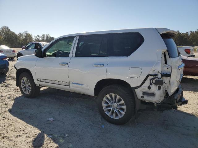 Photo 1 VIN: JTJBM7FXXJ5185668 - LEXUS GX 460 