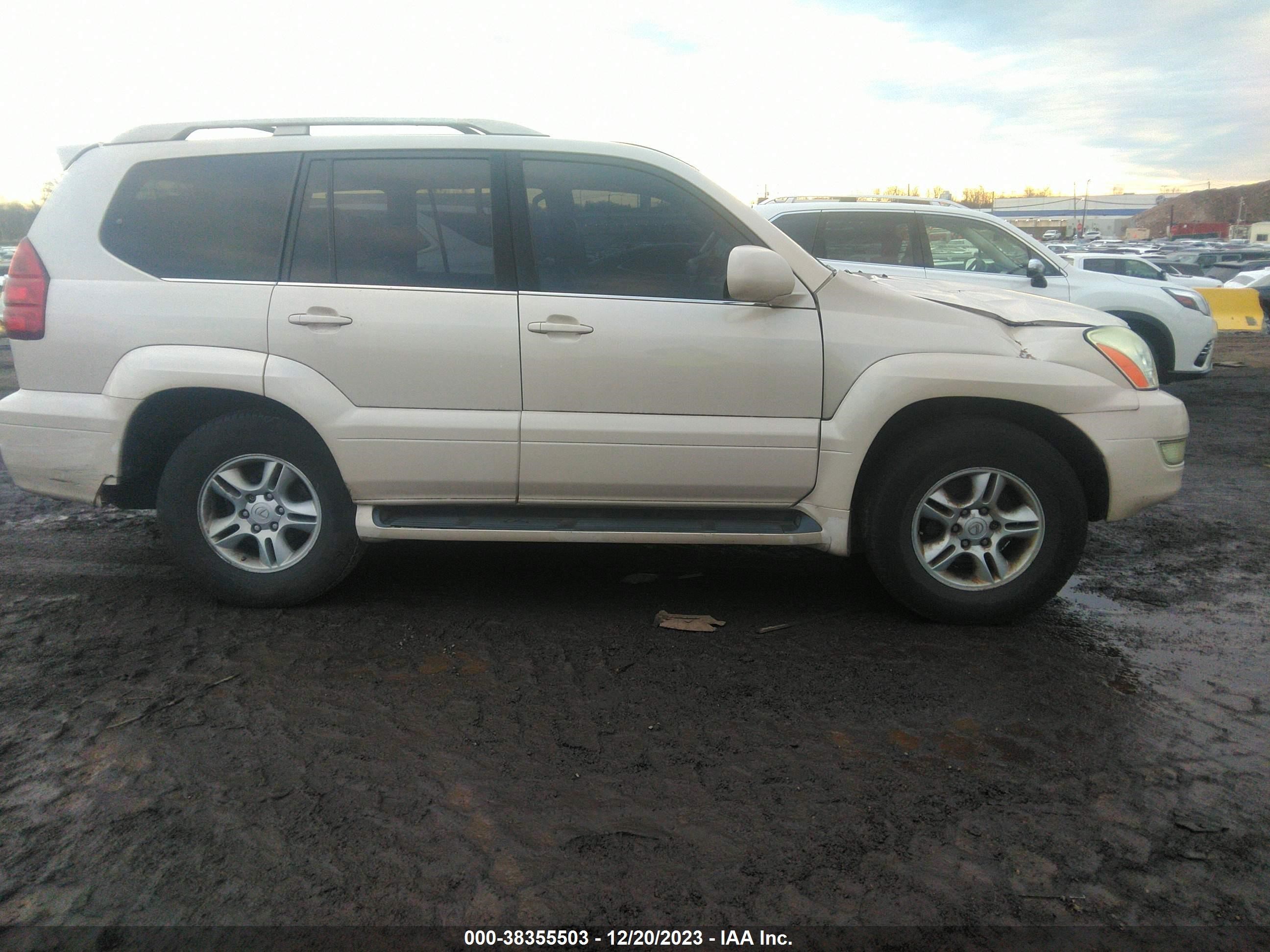 Photo 12 VIN: JTJBT20X130018498 - LEXUS GX 