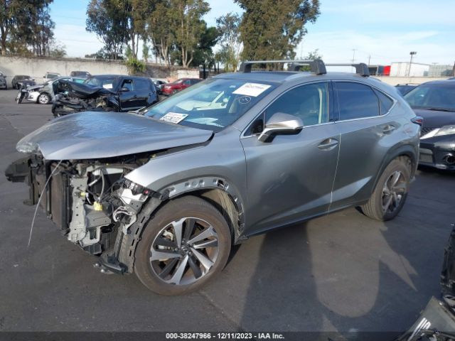 Photo 1 VIN: JTJDARBZ2L5013254 - LEXUS NX 